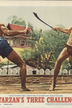 Tarzan's Three Challenges