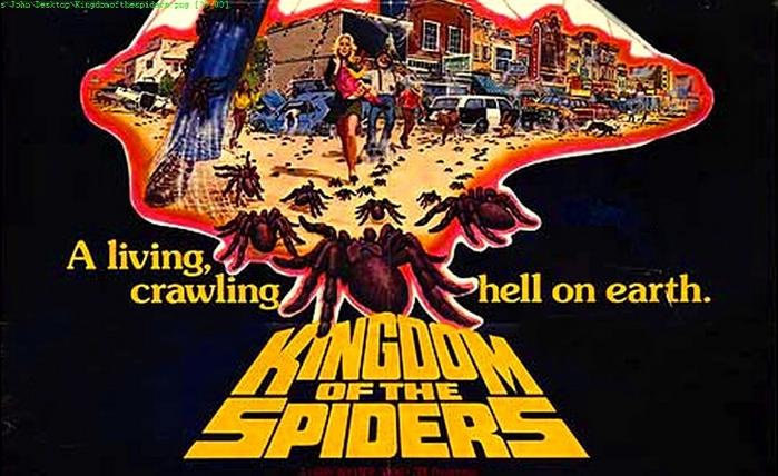 Kingdom of the Spiders